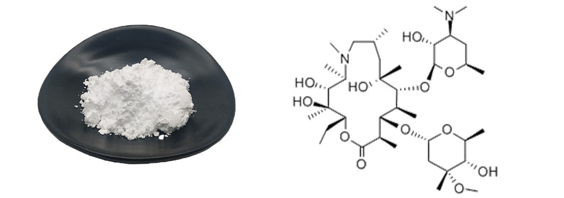 introduction of azithromycin introduction of azithromycin